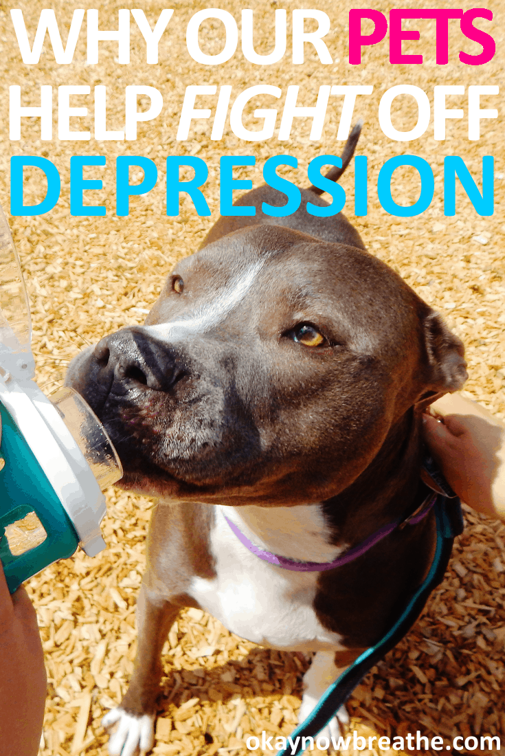 Why Our Pets Help Fight Off Our Depression