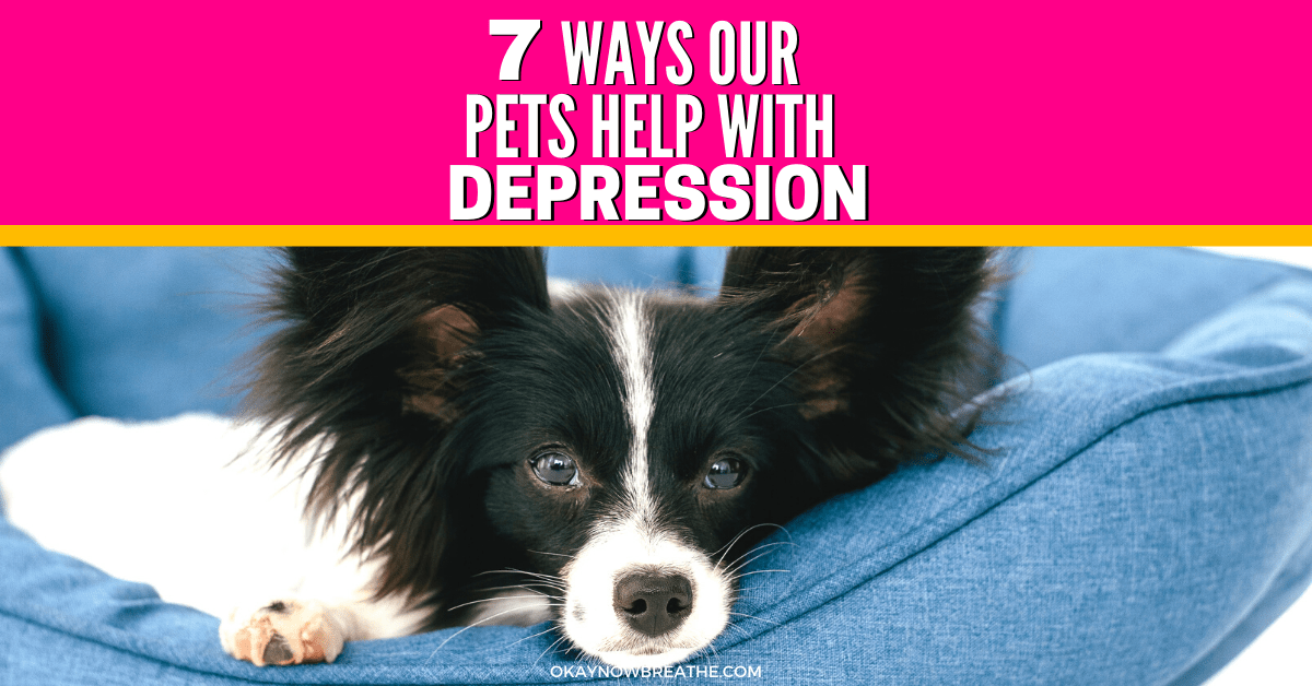 7 HeartWarming Ways Our Pets Help with Depression