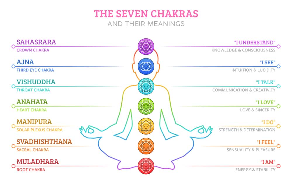 An infographic of the 7 main chakras. On the left is says the names of the chakras. On the right, it describes them.